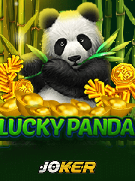 Lịch Sử Phát Triển Của Poker Việt Nam Trong Những Năm Qua